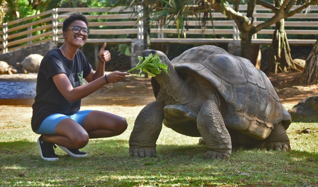 Feature: The Aldabra Giant Tortoise - Radio Nigeria Ibadan Zonal Station