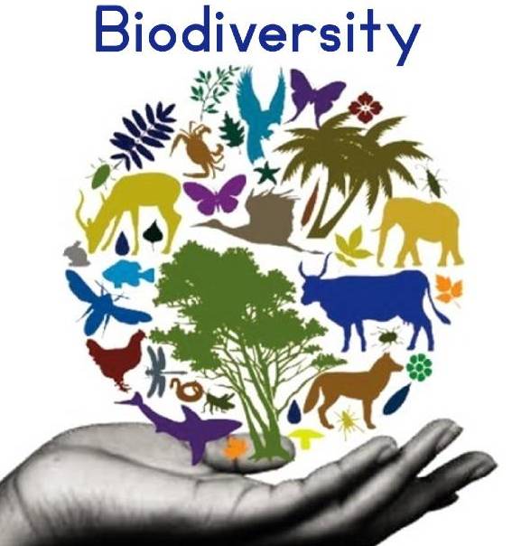 biodiversity images